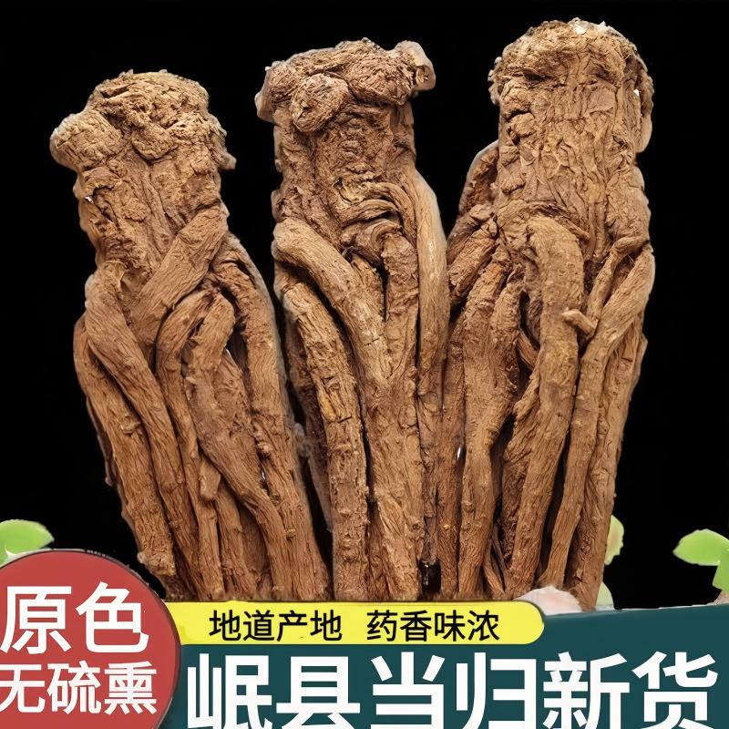 甘肃当归