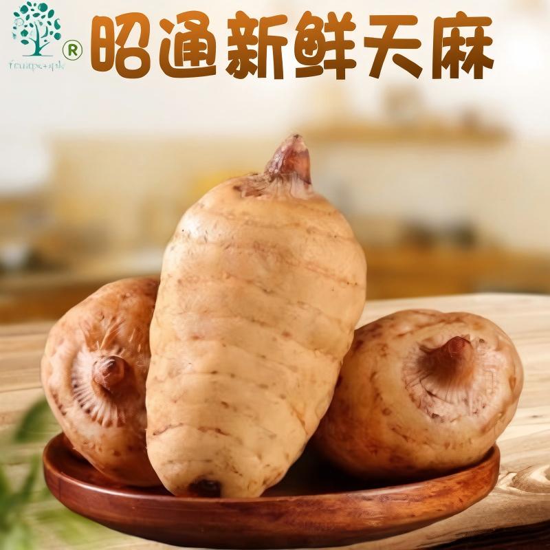 云南天麻