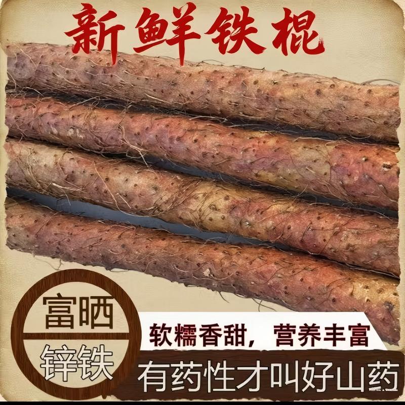 铁棍山药（垆土正宗淮山药）