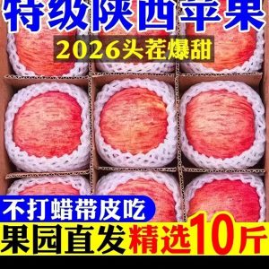 苹果（陕西脆甜）
