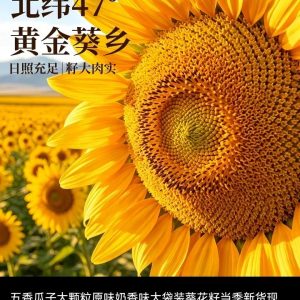 葵花子（熟食炒货-品味自选）