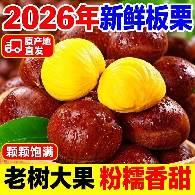 特大板栗（丹东）生